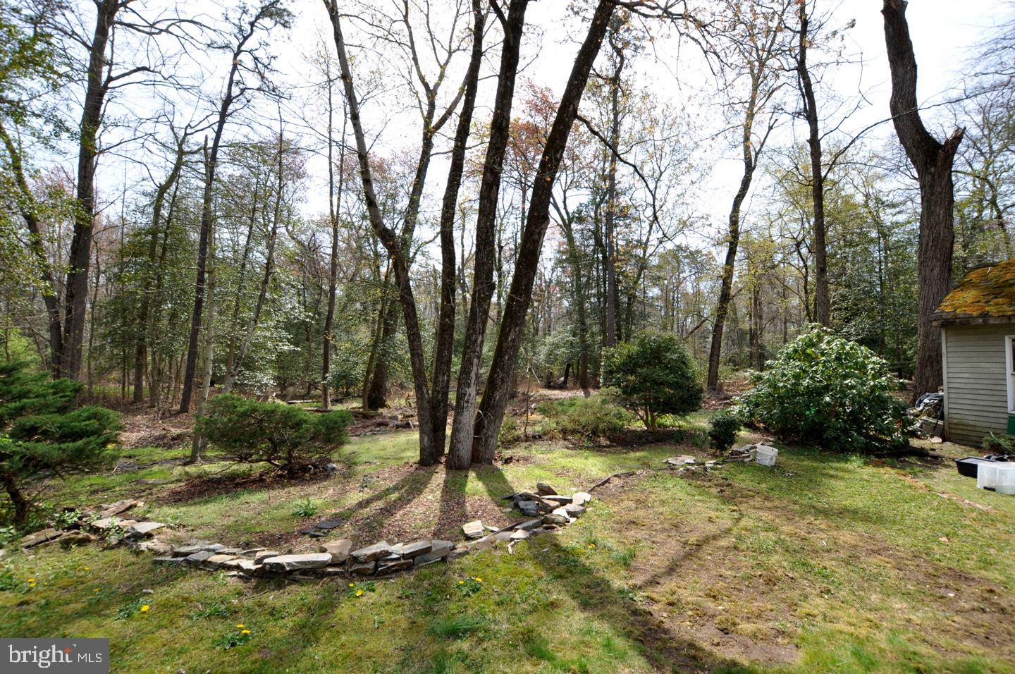 208 Ridge Road Southampton, NJ 08088 - Photo 33 of 34 a view of backyard with tree
