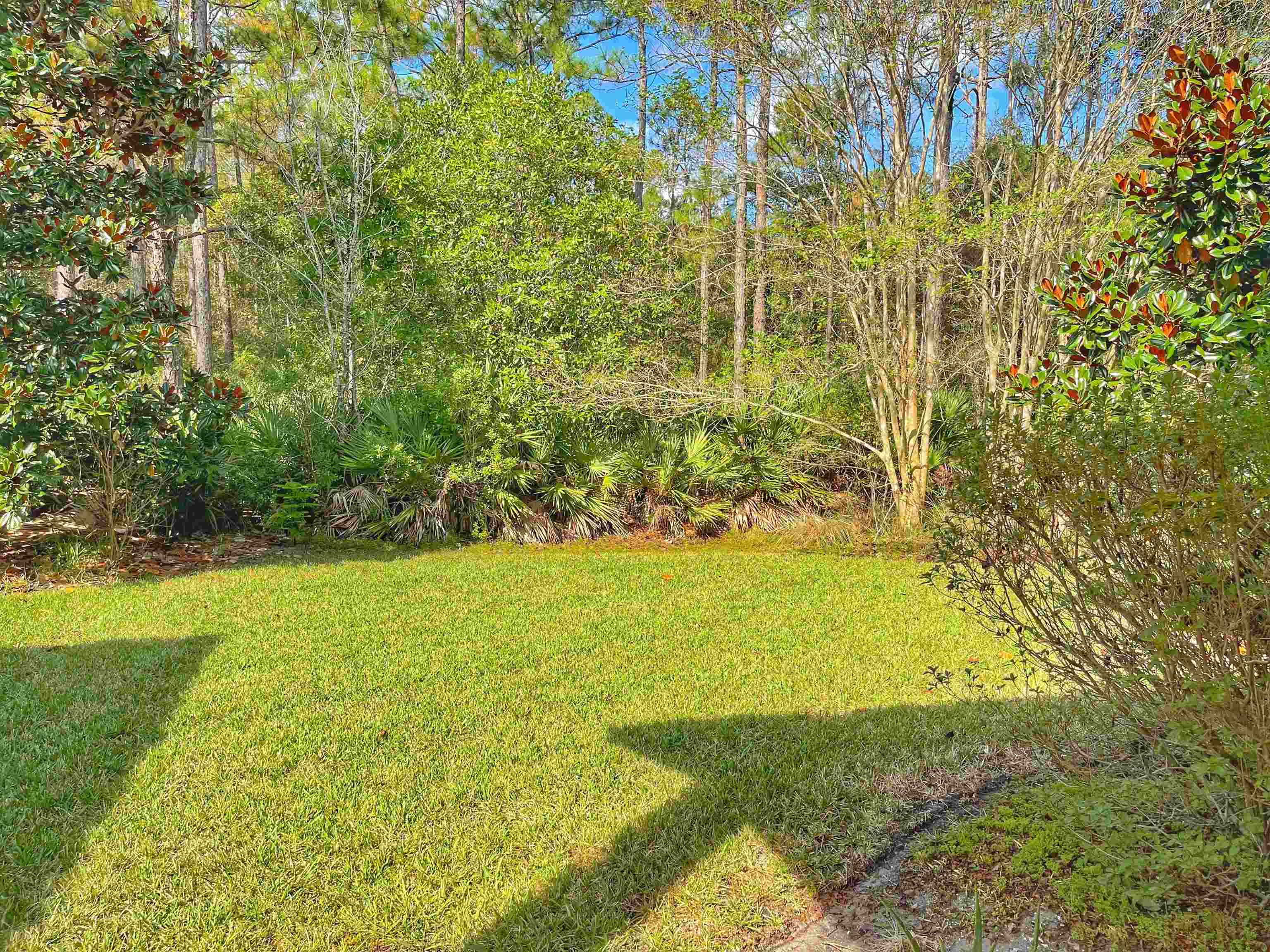157 West Village Drive St. Augustine, FL 32095 - Photo 32 of 43 a view of an ocean from a yard