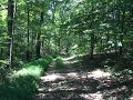 0 Neafus Road Morgantown, KY 42261 - Photo 1 of 4 Gallery Image 1