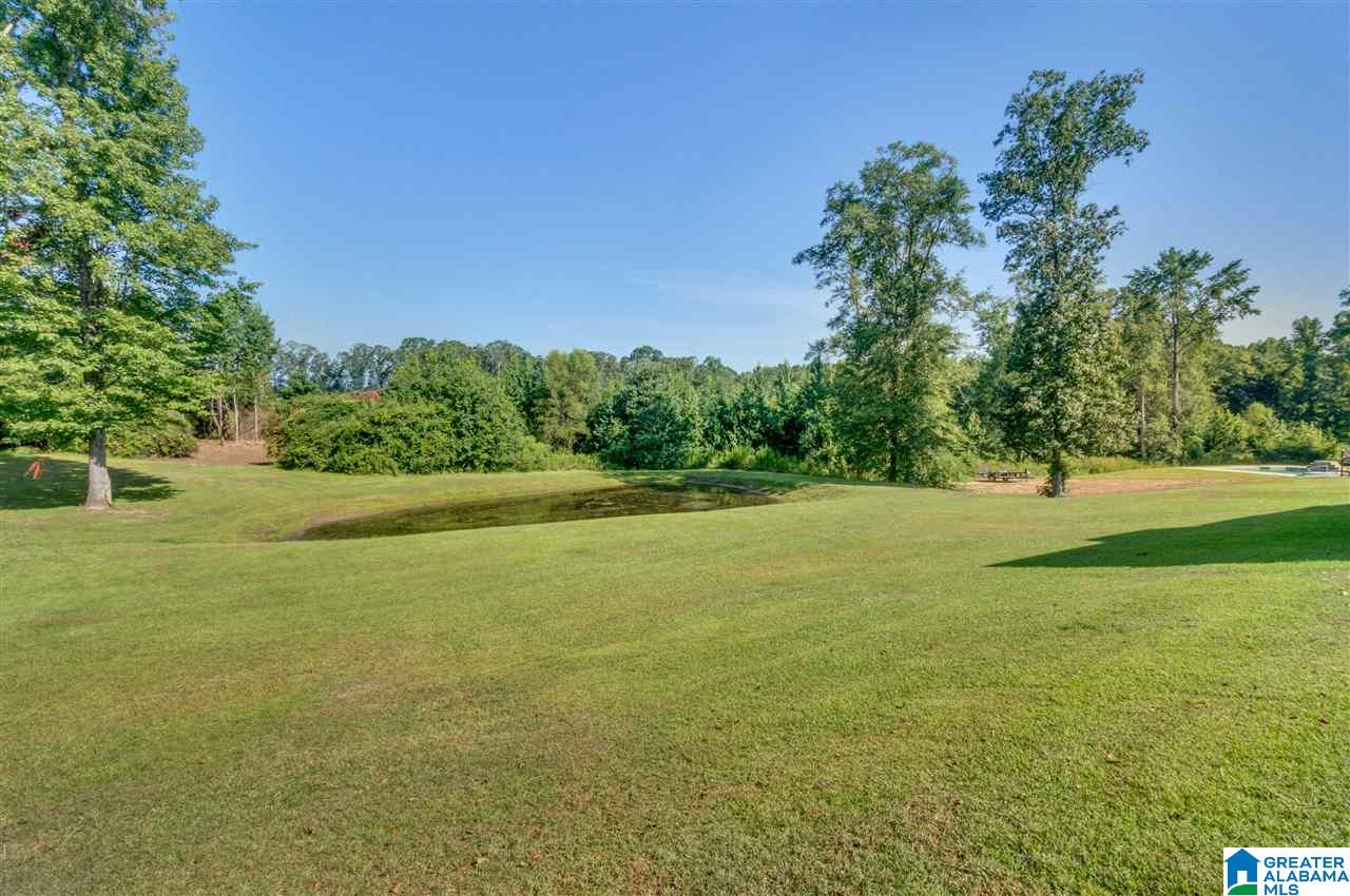 65 County Road 862 Clanton, AL 35045 - Photo 40 of 46
