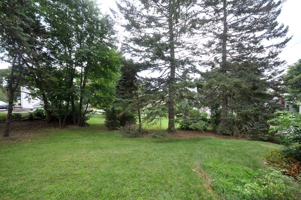 53 Lansdowne Road Arlington, MA 02474 - Photo 26 of 29