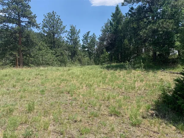 $2,000,000 | 0 Douglas Mountain Drive, Golden, CO 80403