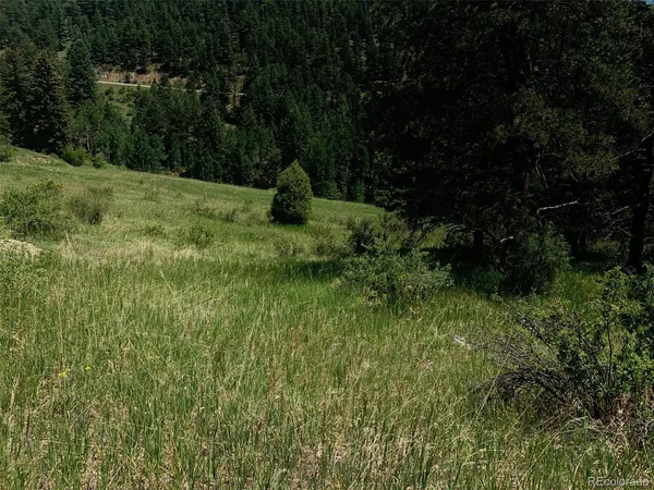 $2,000,000 | 0 Douglas Mountain Drive, Golden, CO 80403