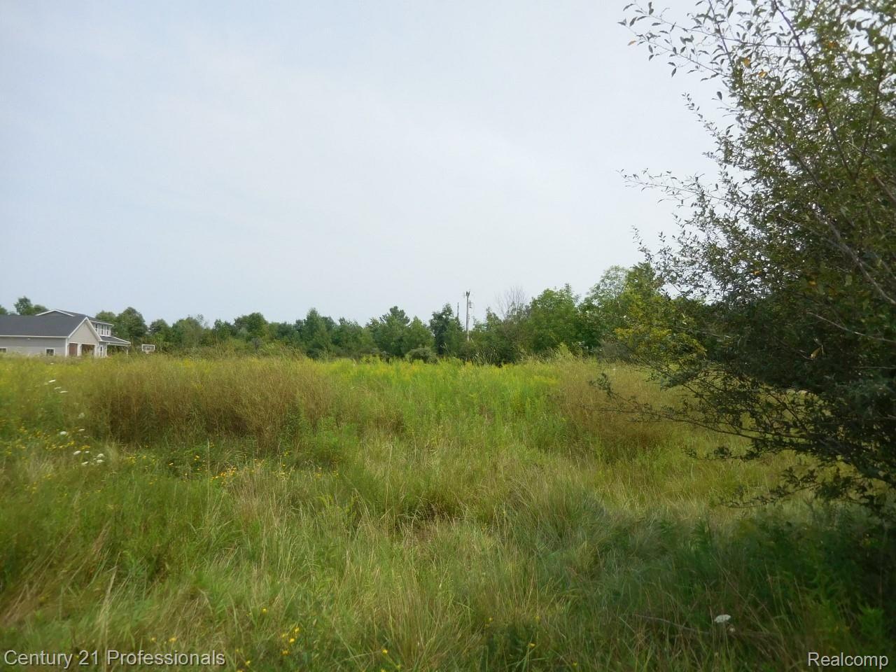 0 Church Road Imlay City, MI 48444 - Photo 17 of 33 26.jpg