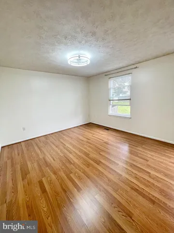 a view of a yard with plants and trees