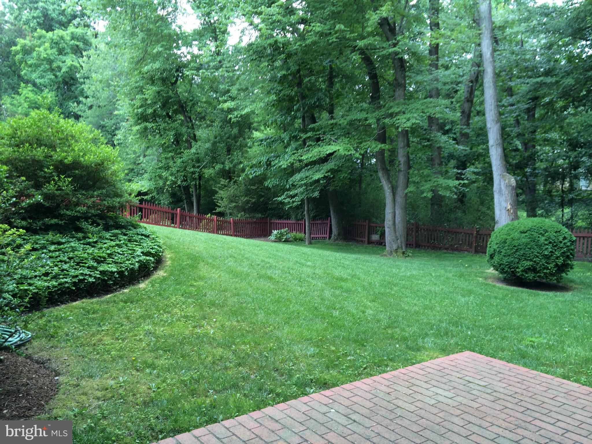 5218 Lighthorne Road Burke, VA 22015 - Photo 17 of 21 Exterior (Rear)