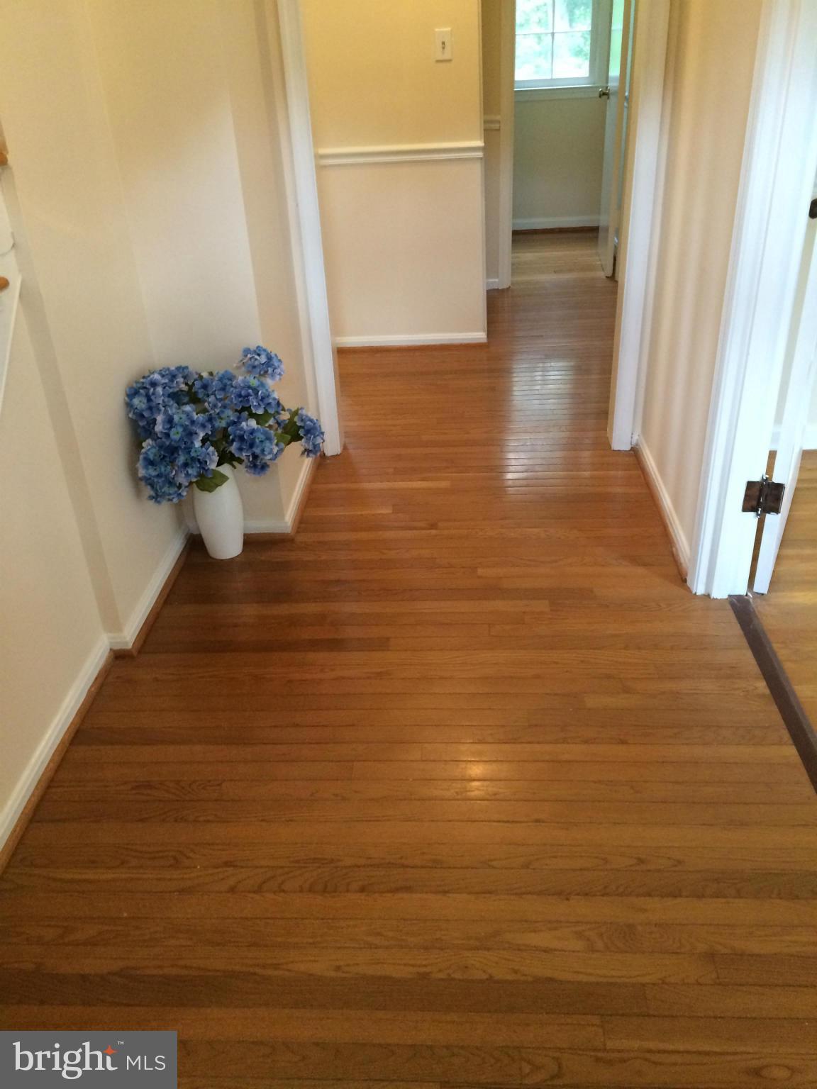5218 Lighthorne Road Burke, VA 22015 - Photo 10 of 21 Interior (General)