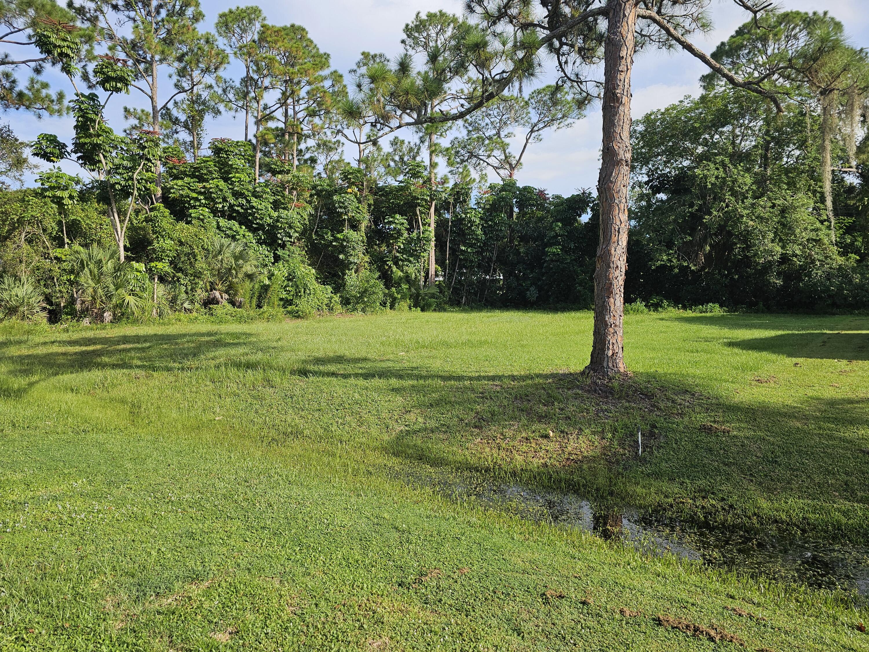 8003 Arthurs Road Fort Pierce, FL 34951 - Photo 3 of 4 a view of a park with a tree in the background