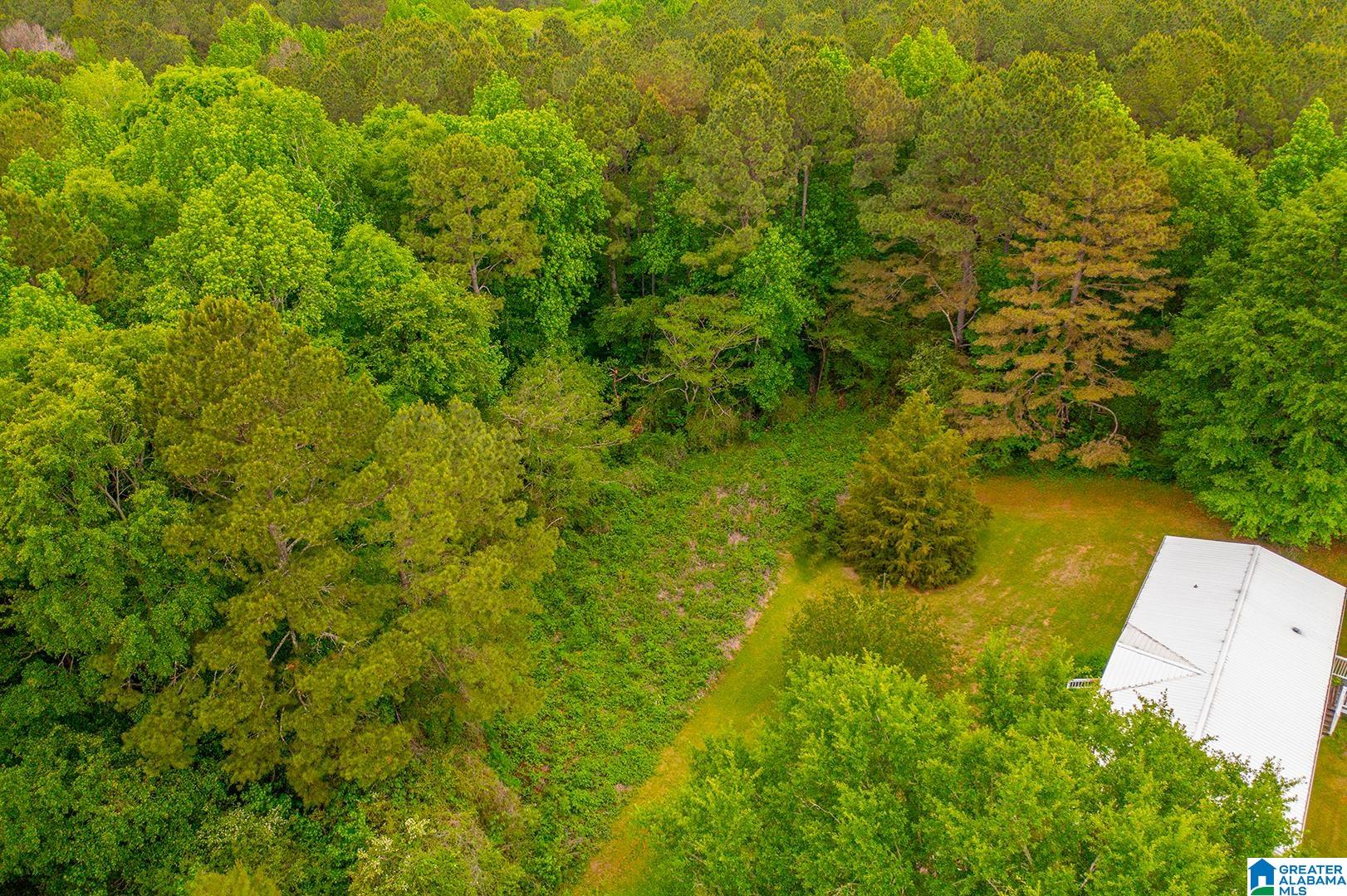 0 Spunky Hollow Road, Unit 1 Trafford, AL 35172 - Photo 15 of 18