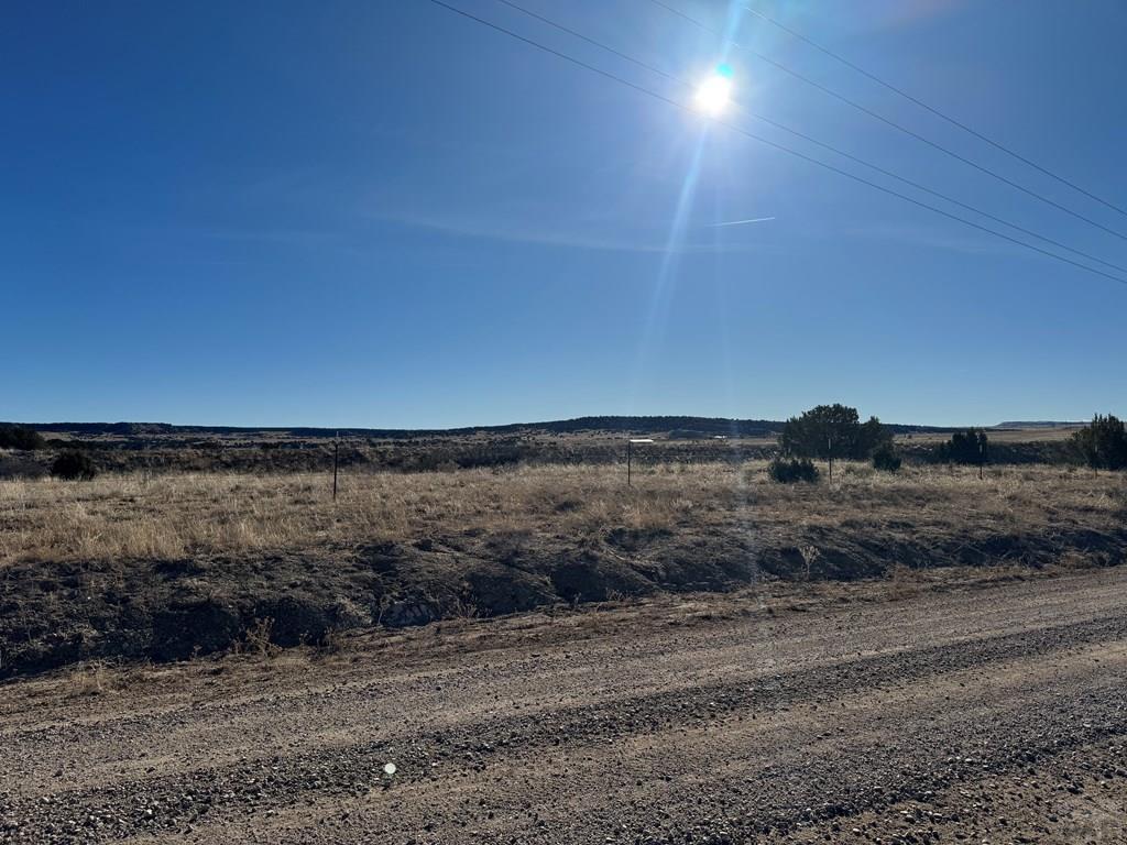 Tbd Carlson Road Rye, CO 81069 - Photo 11 of 18