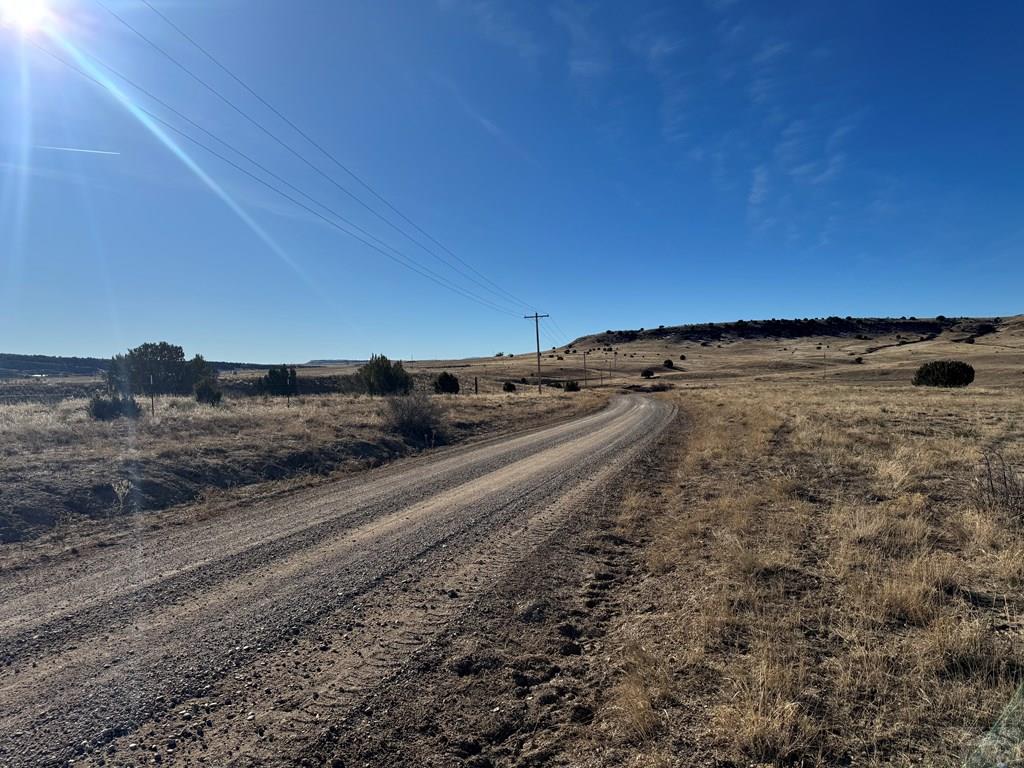 Tbd Carlson Road Rye, CO 81069 - Photo 12 of 18