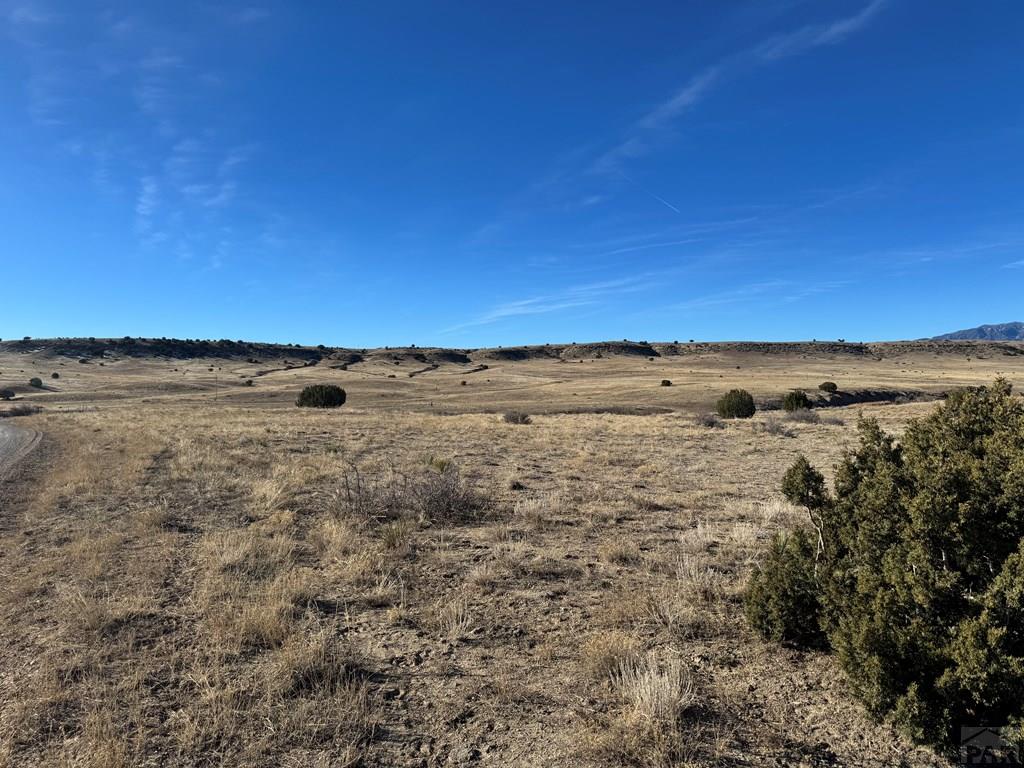 Tbd Carlson Road Rye, CO 81069 - Photo 13 of 18
