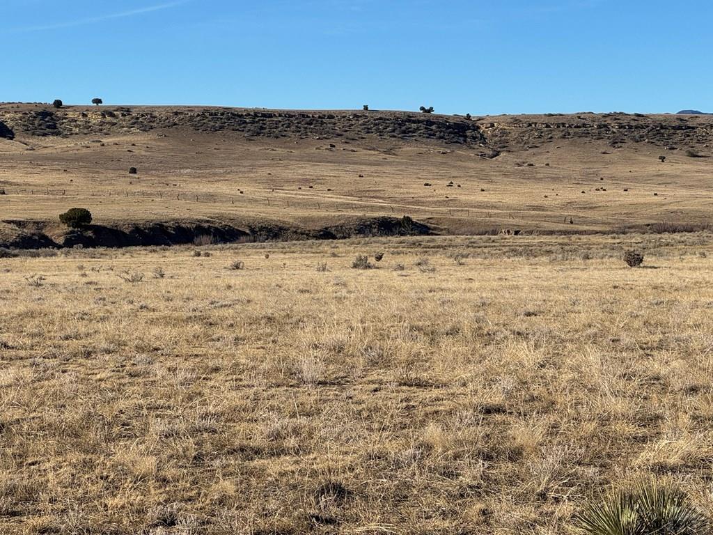 Tbd Carlson Road Rye, CO 81069 - Photo 5 of 18