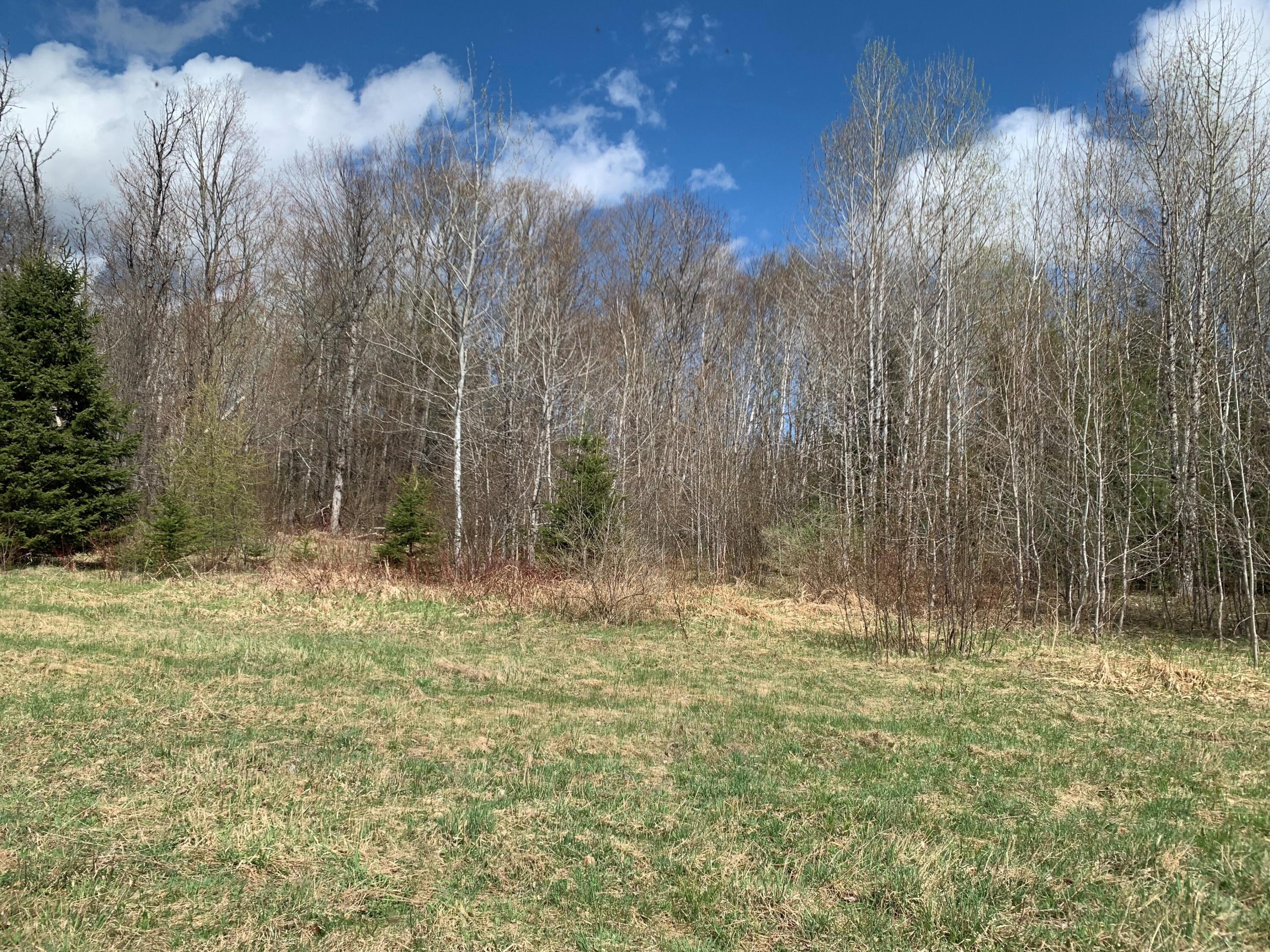 Lot L Cow Team Road Crystal, ME 04747 - Photo 6 of 11 6