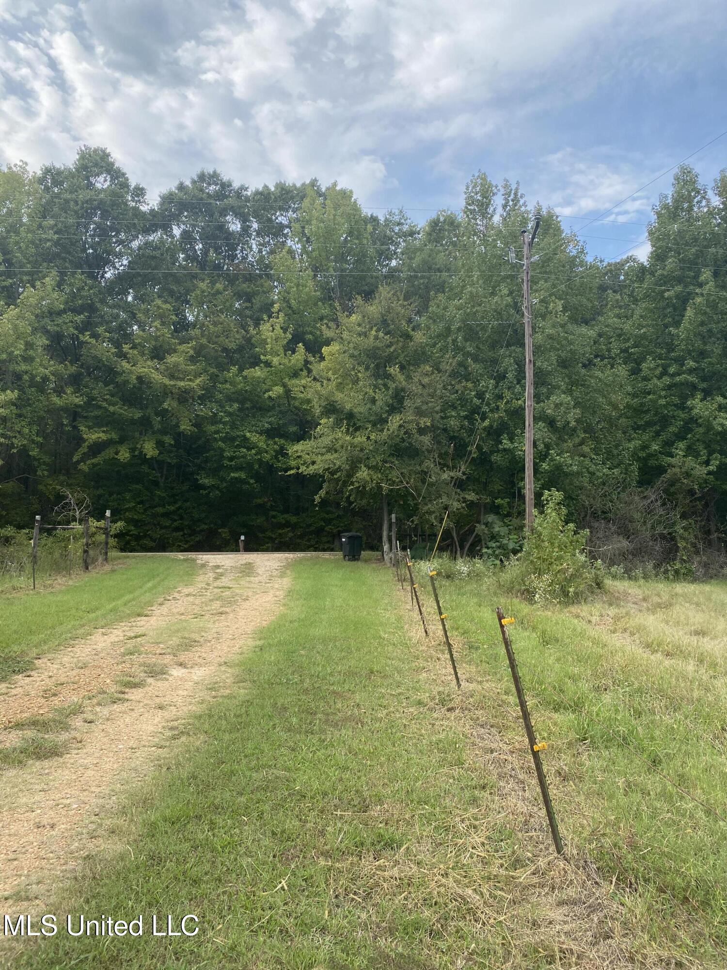13895 Arkabutla Road Coldwater, MS 38618 - Photo 3 of 10 2024-09-23 16.27.56