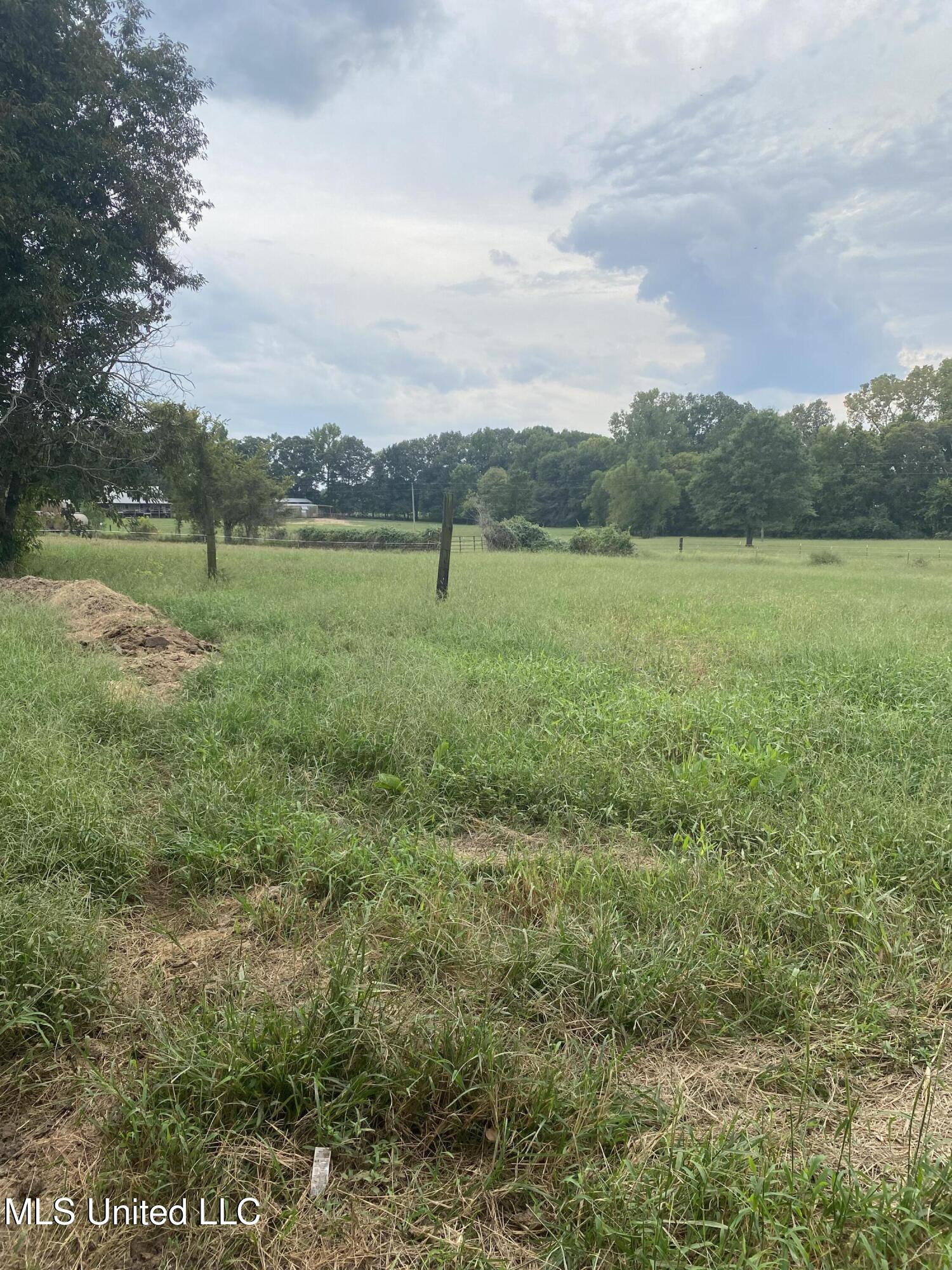 13895 Arkabutla Road Coldwater, MS 38618 - Photo 10 of 10 2024-09-23 16.38.02