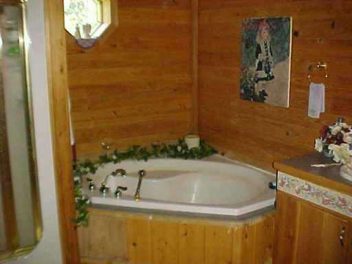 352 Dyson Creek Road Pollock, LA 71467 - Photo 4 of 9 Gallery Image 4
