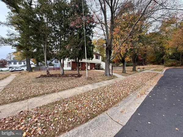 a view of road with trees