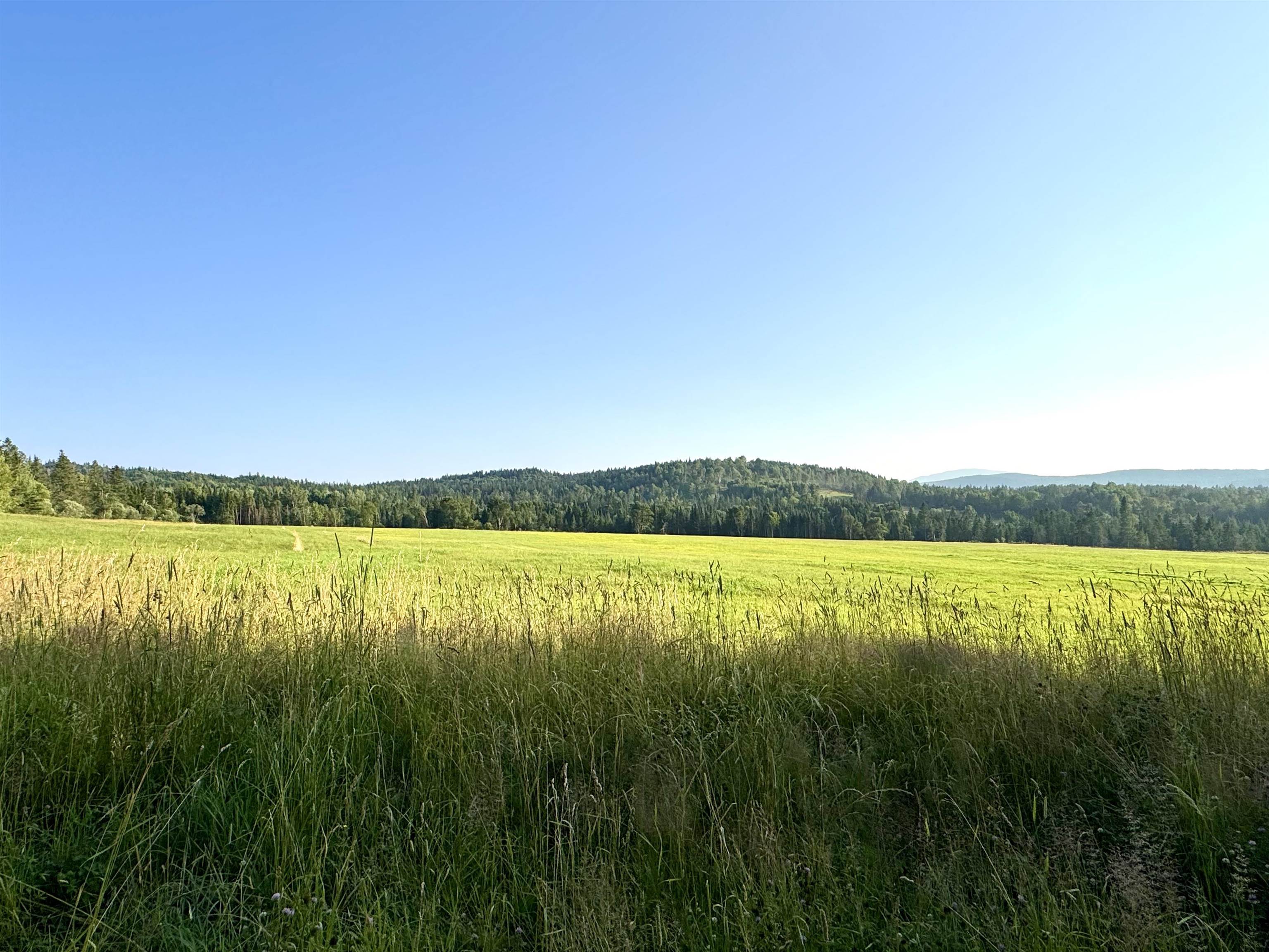Lot 1-2 & 3 Creampoke Road Stewartstown, NH 03576 - Photo 16 of 20