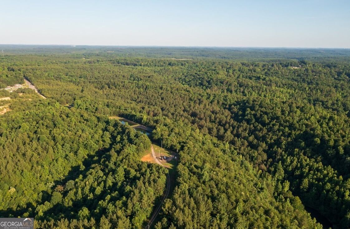 0 Gilmore Mine Road, Unit TRACT A/B Cottondale, AL 35453 - Photo 10 of 18