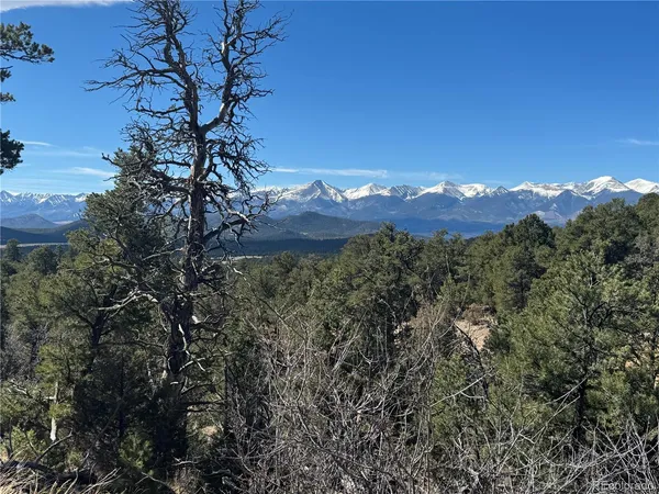 a view of a tree in a field