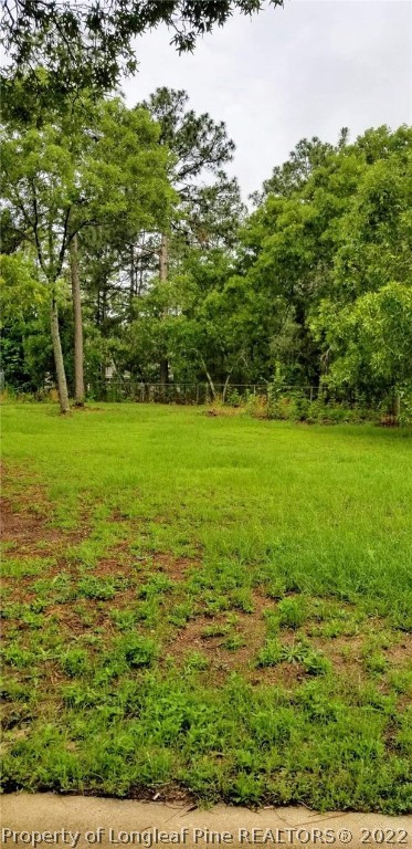 129 East 12 Oaks Road Raeford, NC 28376 - Photo 3 of 13 Gallery Image 3