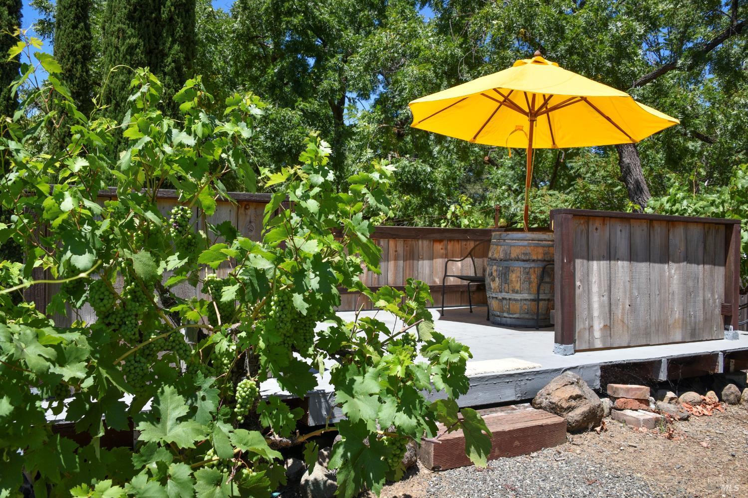 455 Glass Mountain Road St. Helena, CA 94574 - Photo 11 of 49