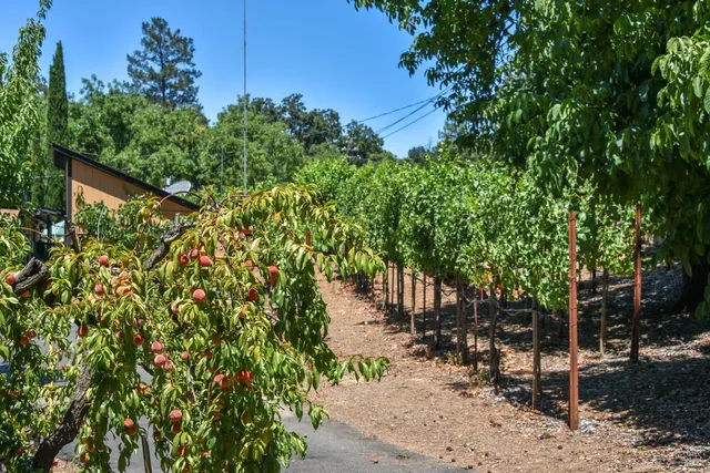 $1,695,000 | 455 Glass Mountain Road, St. Helena, CA 94574