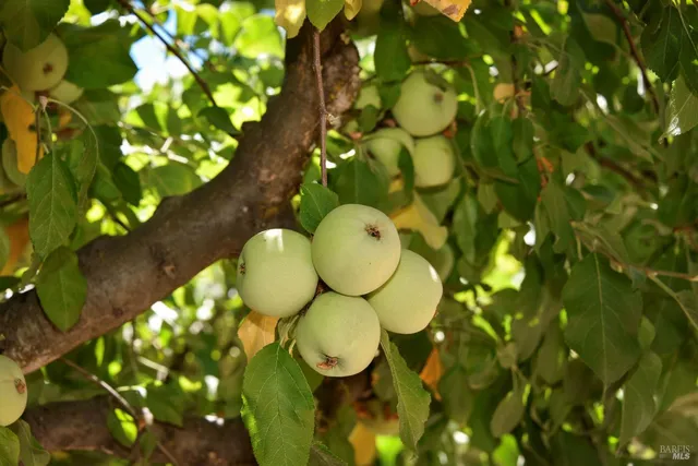 $1,695,000 | 455 Glass Mountain Road, St. Helena, CA 94574