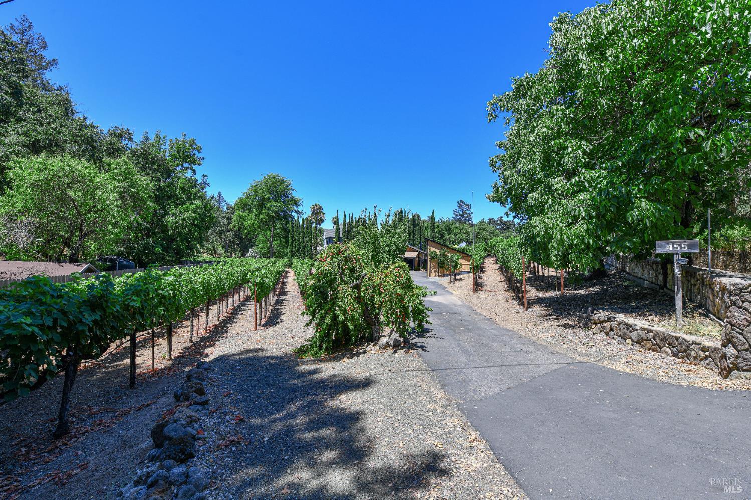 455 Glass Mountain Road St. Helena, CA 94574 - Photo 4 of 49