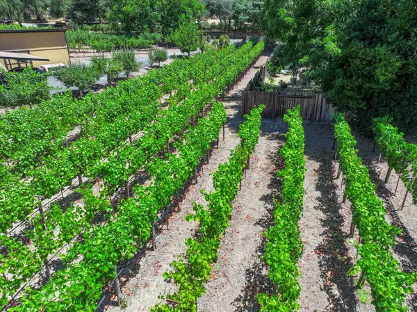 $1,695,000 | 455 Glass Mountain Road, St. Helena, CA 94574