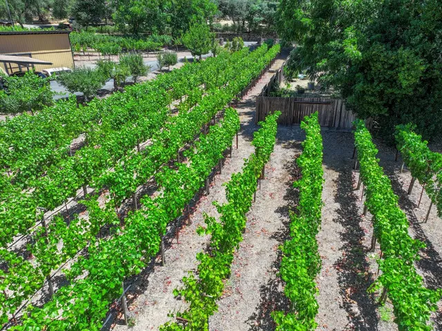 $1,695,000 | 455 Glass Mountain Road, St. Helena, CA 94574