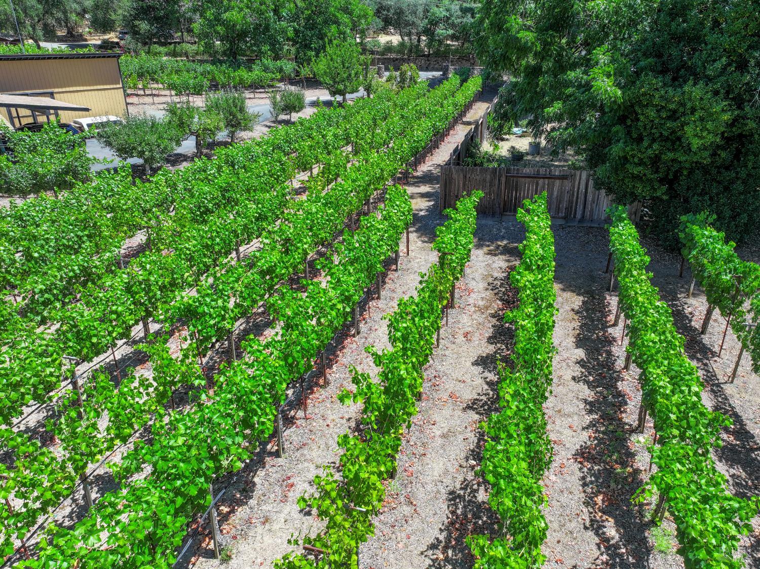 455 Glass Mountain Road St. Helena, CA 94574 - Photo 5 of 49