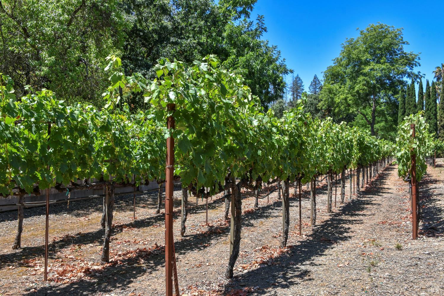 455 Glass Mountain Road St. Helena, CA 94574 - Photo 6 of 49