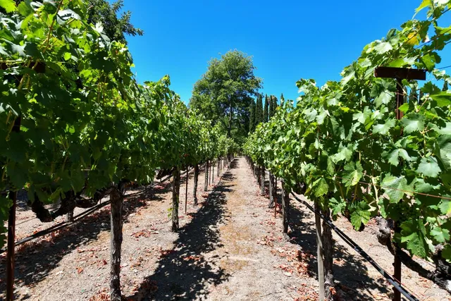 $1,695,000 | 455 Glass Mountain Road, St. Helena, CA 94574