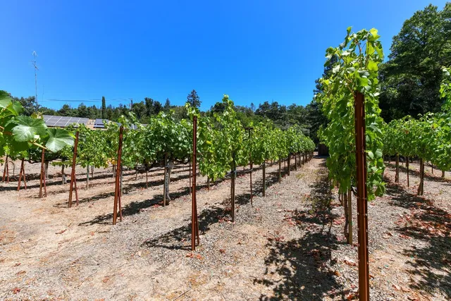 $1,695,000 | 455 Glass Mountain Road, St. Helena, CA 94574