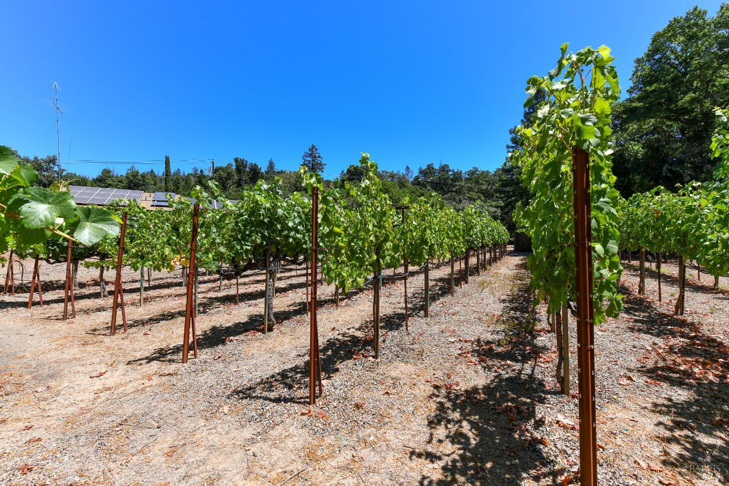 455 Glass Mountain Road St. Helena, CA 94574 - Photo 8 of 49