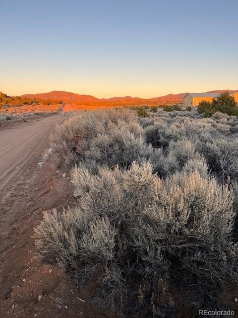 a view of a city with lush green forest