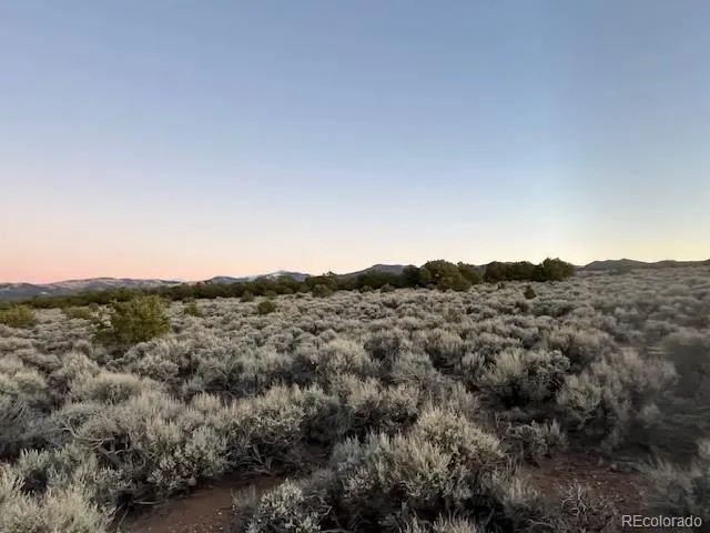 $6,500 | Lot 938 Bateman Road, Fort Garland, CO 81133