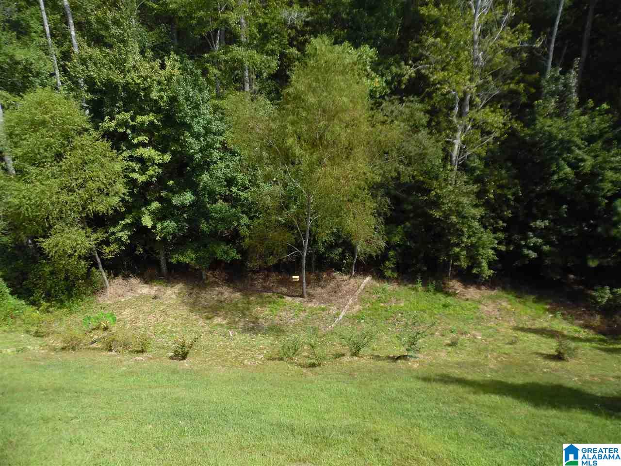 390 Chesser Plantation Lane Chelsea, AL 35043 - Photo 17 of 19