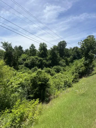 a view of lake with green space