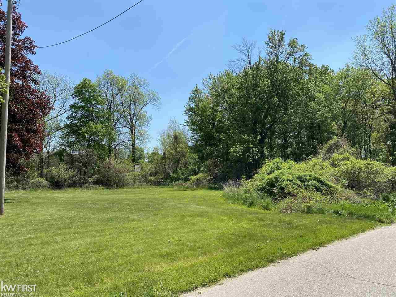 0 Center Street Fenton, MI 48430 - Photo 3 of 6