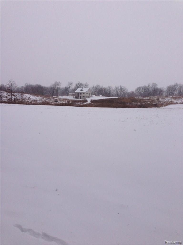 10355 Sharon Hollow Road Manchester, MI 48158 - Photo 19 of 57 IMG_0886.jpg