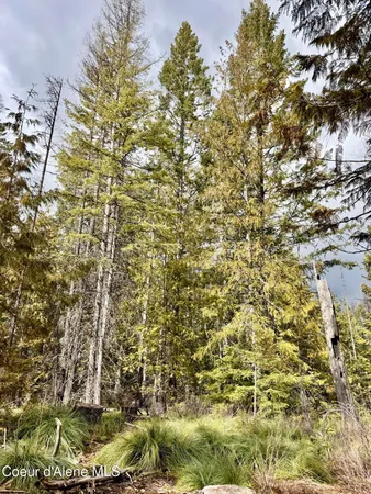 $199,500 | Nna Cross Mountain Road, Sandpoint, ID 83864