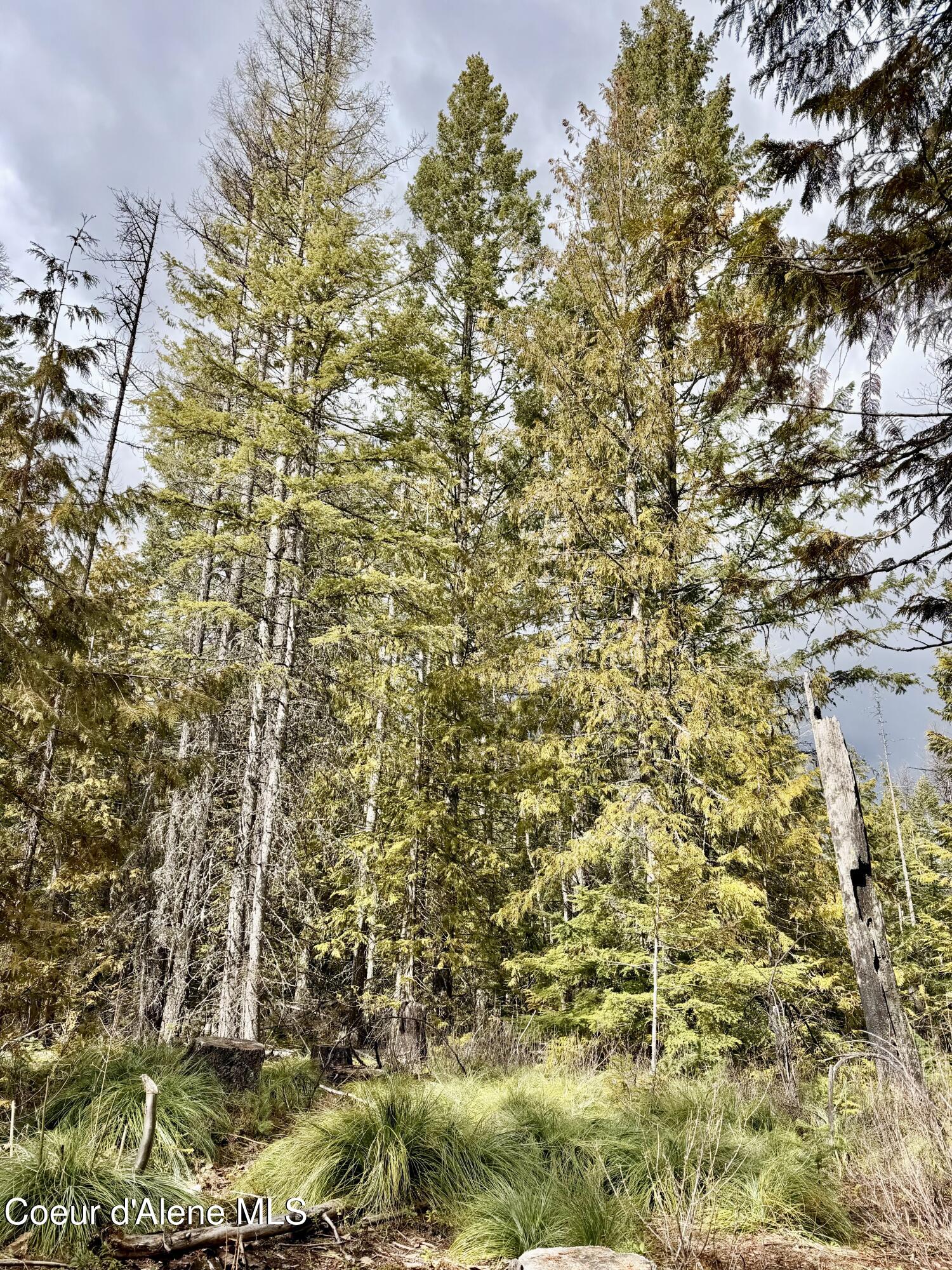 Nna Cross Mountain Road Sandpoint, ID 83864 - Photo 11 of 33 IMG_1024