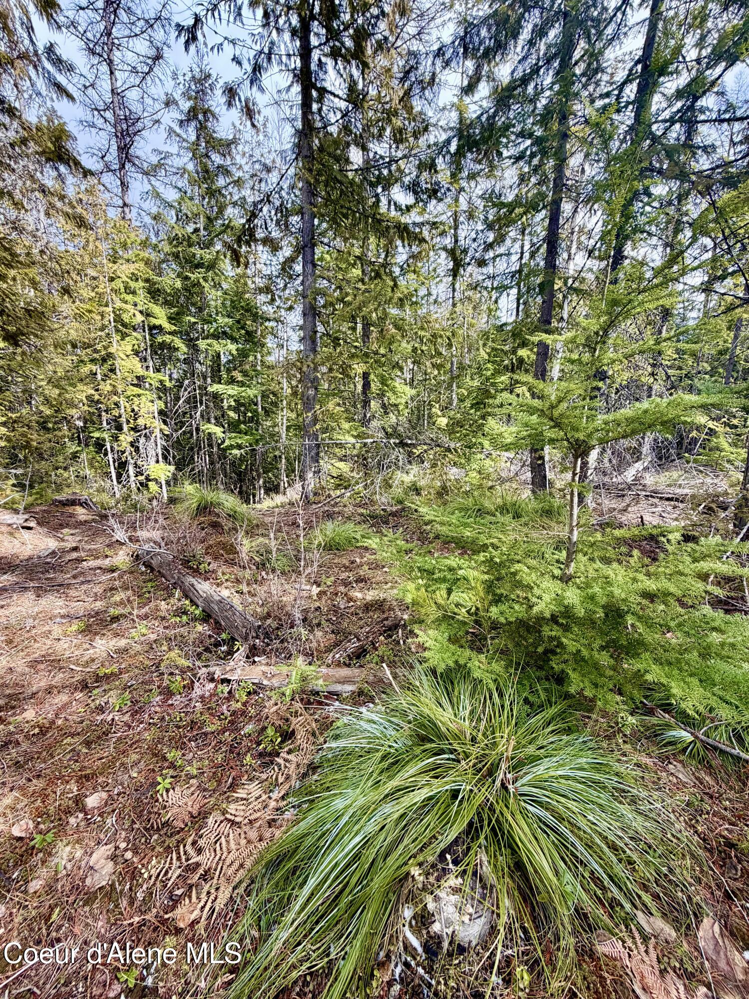 Nna Cross Mountain Road Sandpoint, ID 83864 - Photo 12 of 33 IMG_1023