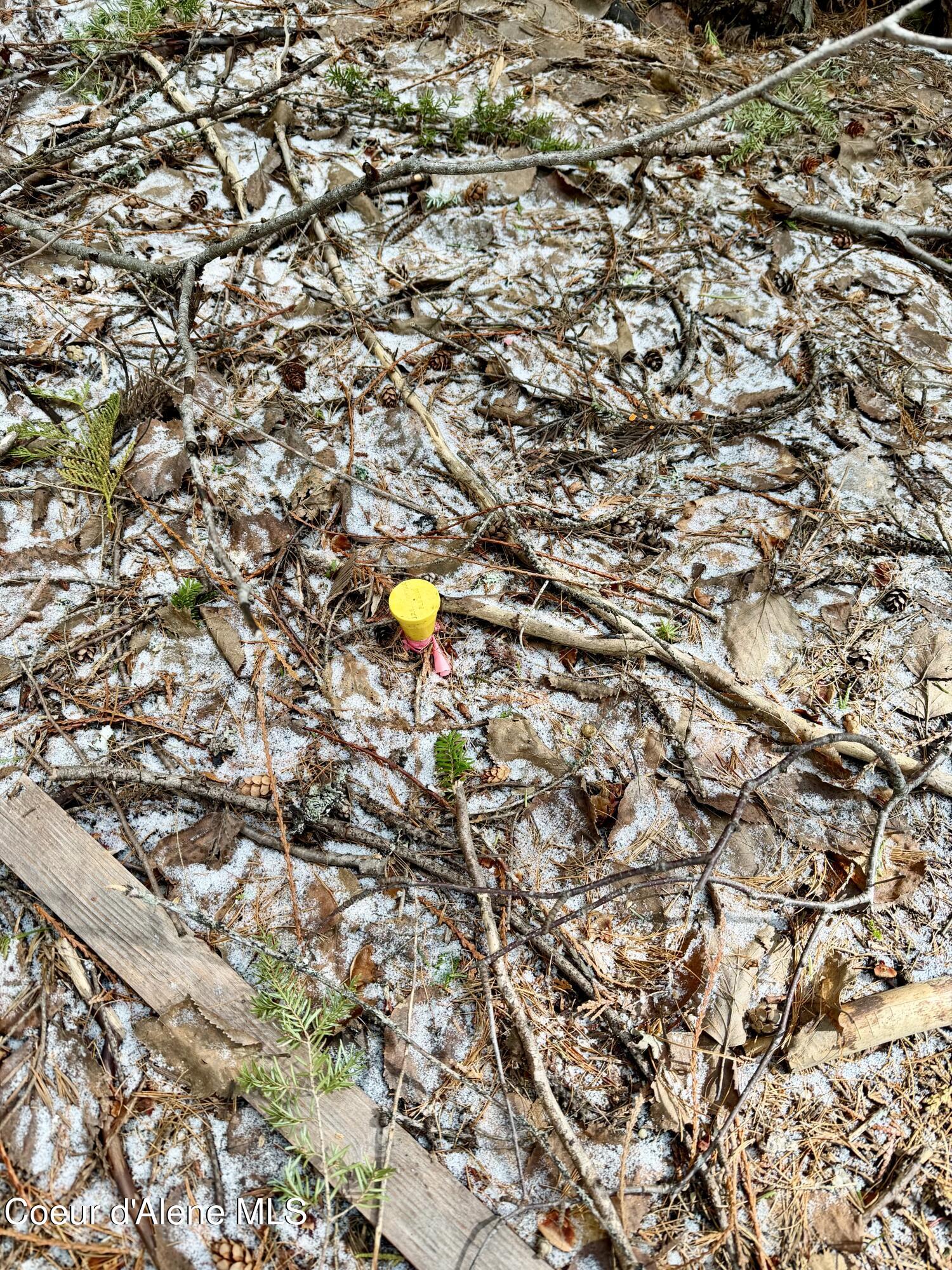 Nna Cross Mountain Road Sandpoint, ID 83864 - Photo 14 of 33 IMG_1021