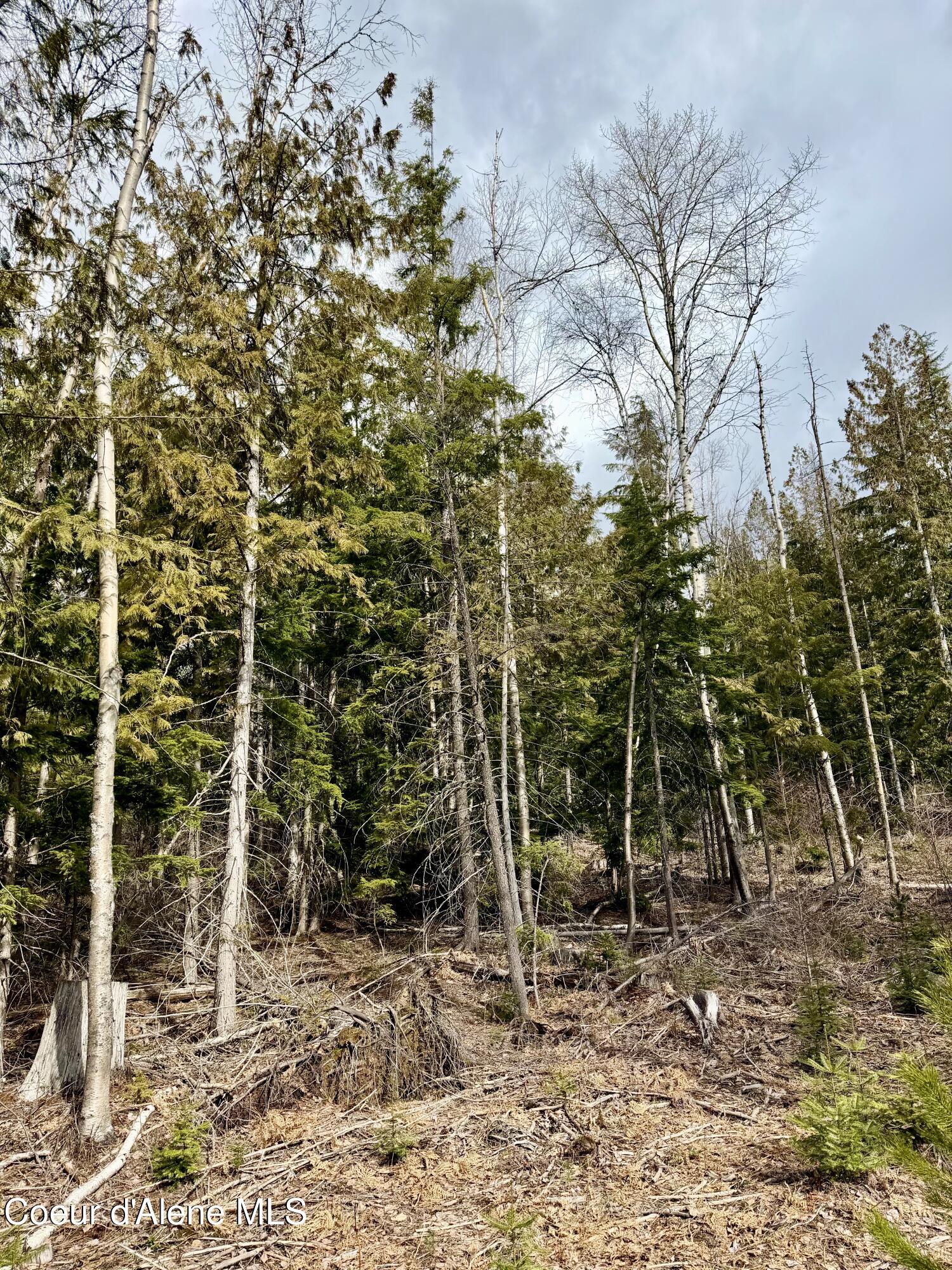 Nna Cross Mountain Road Sandpoint, ID 83864 - Photo 15 of 33 IMG_1018