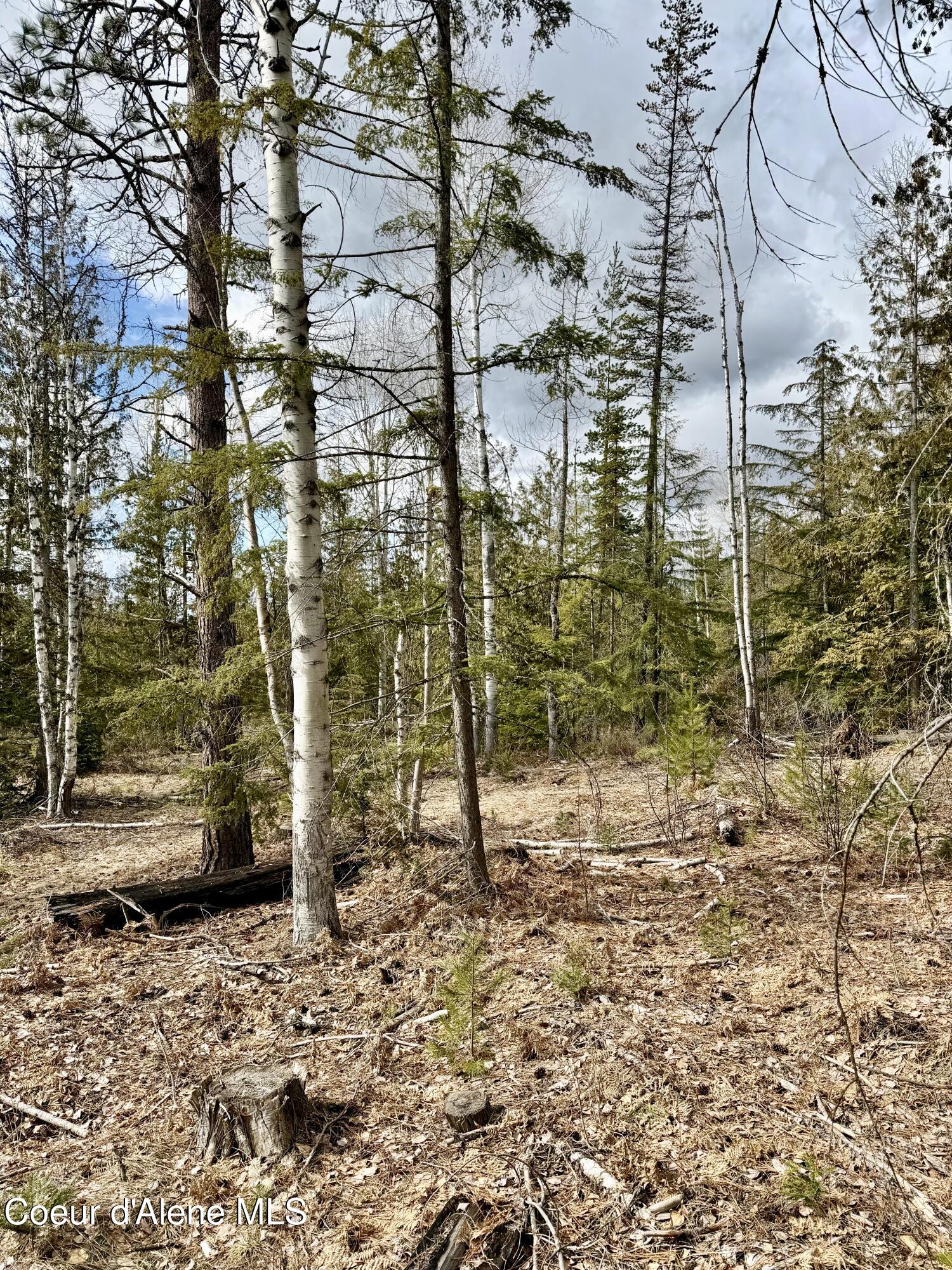 Nna Cross Mountain Road Sandpoint, ID 83864 - Photo 16 of 33 IMG_1017