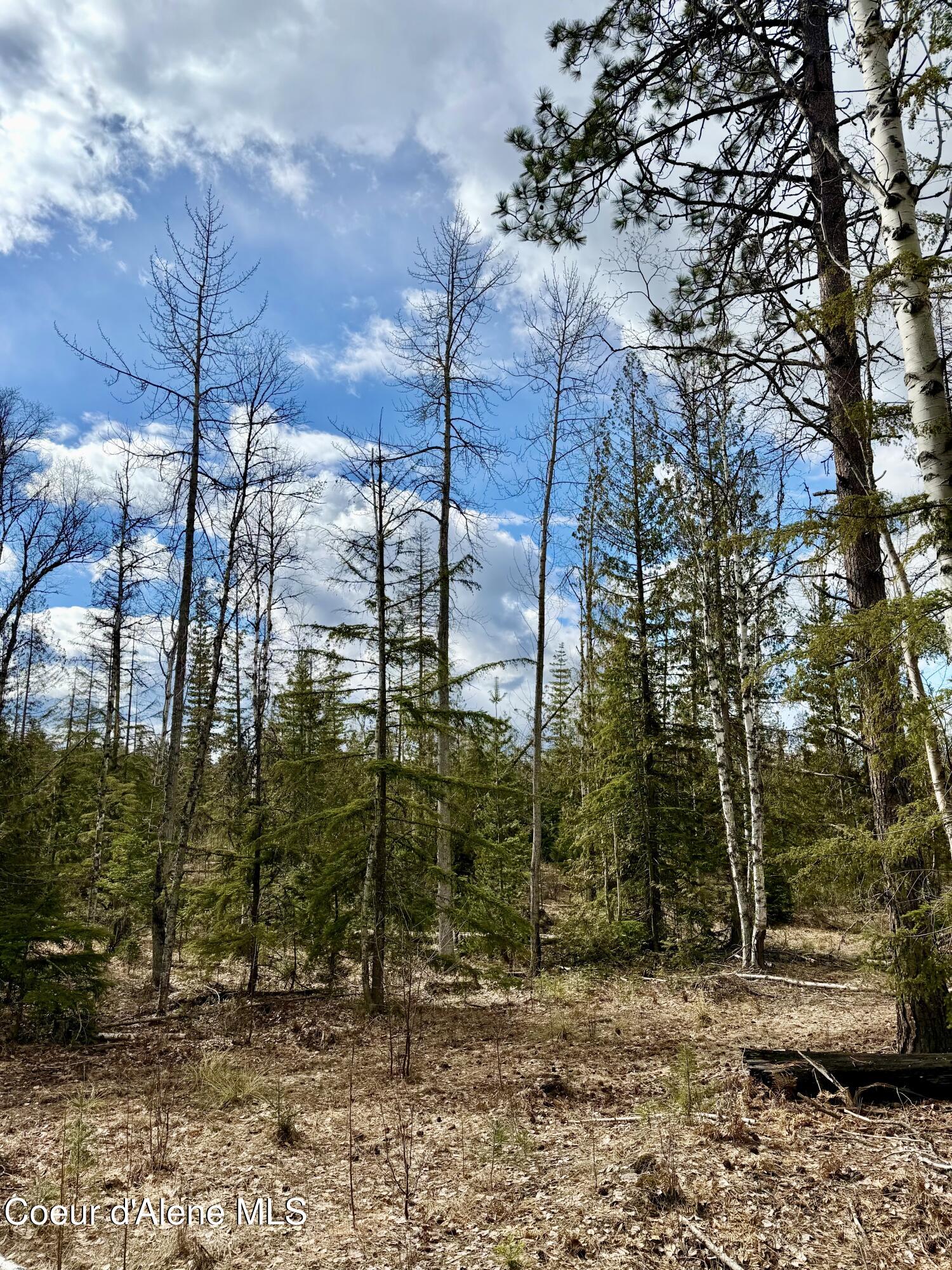 Nna Cross Mountain Road Sandpoint, ID 83864 - Photo 17 of 33 IMG_1016